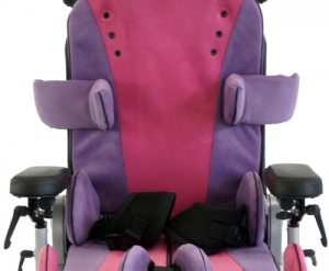 Абдукторная система